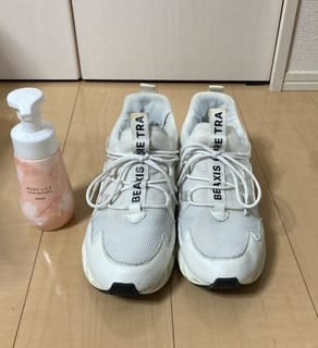 優質洗鞋泡 補充包 200ml (日本製) 的顧客照片